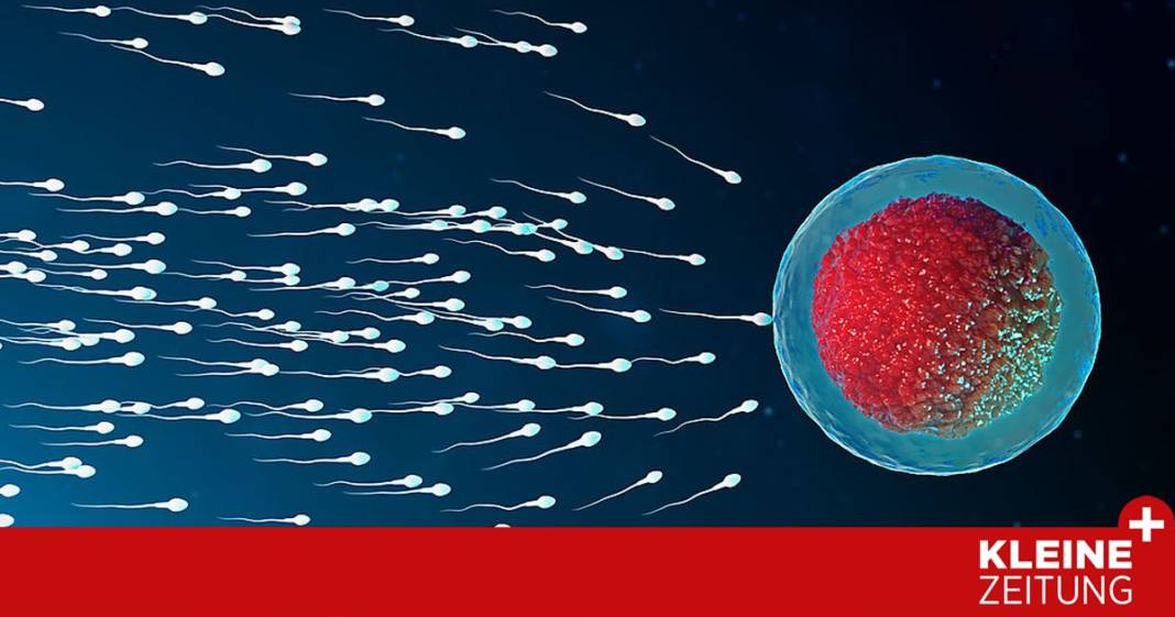 familienplanung:-kinder?-ja,-aber-erst-spaeter familienplanung:-kinder?-ja,-aber-erst-spaeter