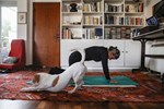 die-reiche-neue-welt-des-home-workouts die-reiche-neue-welt-des-home-workouts