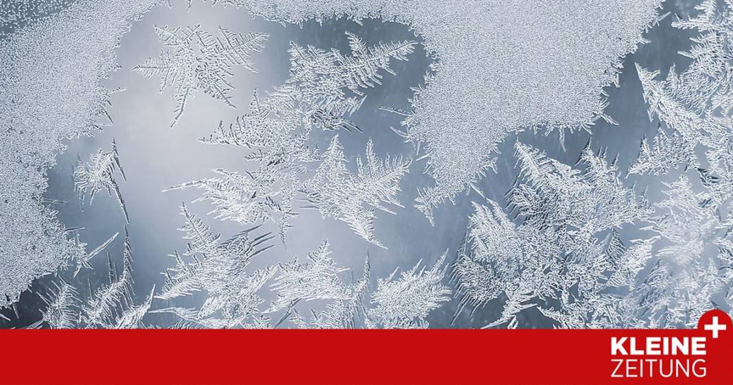 warum-eisblumen-(fast)-nur-noch-in-der-erinnerung-bluehen warum-eisblumen-(fast)-nur-noch-in-der-erinnerung-bluehen
