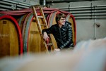 biodynamie:-der-weg-zum-ausgeglichenen-weinstock biodynamie:-der-weg-zum-ausgeglichenen-weinstock