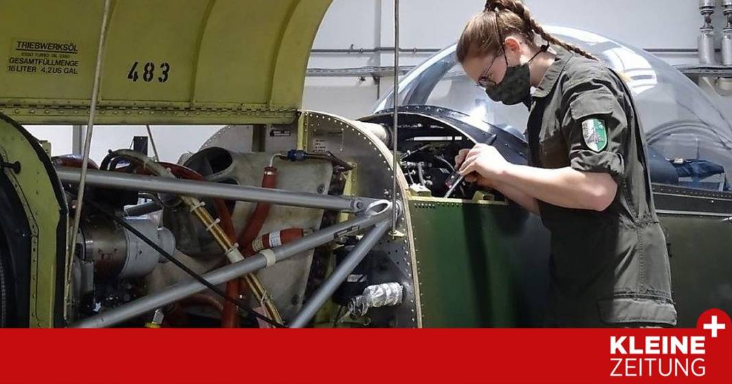 lehrlinge-bei-heer-und-bundesforste-berichten-aus-ihrem-alltag lehrlinge-bei-heer-und-bundesforste-berichten-aus-ihrem-alltag