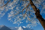 schneeschuhtour-auf-den-brennkopf-in-tirol schneeschuhtour-auf-den-brennkopf-in-tirol