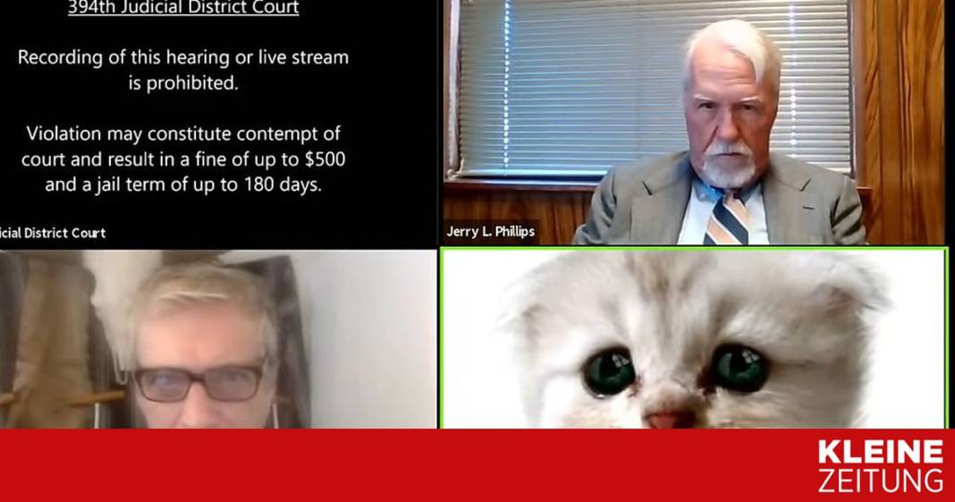 “i’m-not-a-cat”:-wenn-ein-katzenfilter-die-gerichtsverhandlung-stoert “i’m-not-a-cat”:-wenn-ein-katzenfilter-die-gerichtsverhandlung-stoert