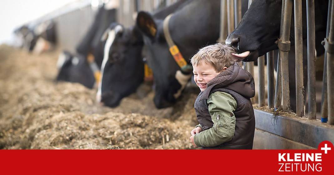 kann-stallluft-wirklich-allergien-heilen?