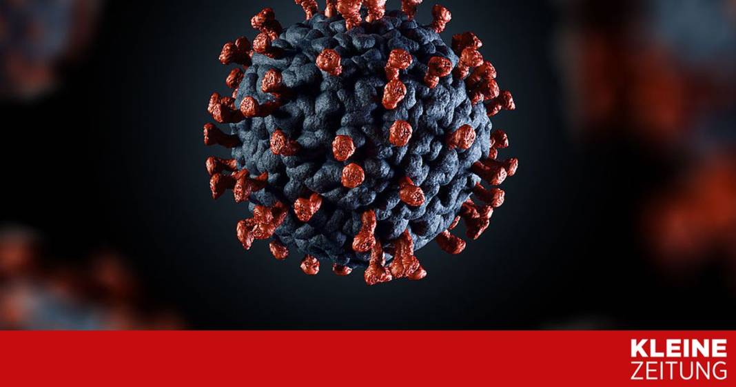 schwere-verlaeufe-haengen-mit-gen-variation-im-koerper-zusammen schwere-verlaeufe-haengen-mit-gen-variation-im-koerper-zusammen