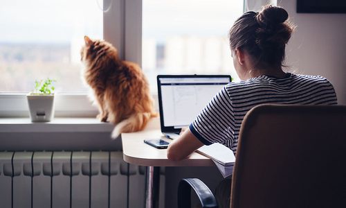 homeoffice-gesetz:-wirtschaft-und-industrie-wollen-verschiebung homeoffice-gesetz:-wirtschaft-und-industrie-wollen-verschiebung