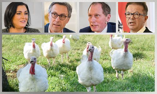 g’schmackiges-polit-match-um-puten-haltung-und-herkunfts-kennzeichnung g’schmackiges-polit-match-um-puten-haltung-und-herkunfts-kennzeichnung