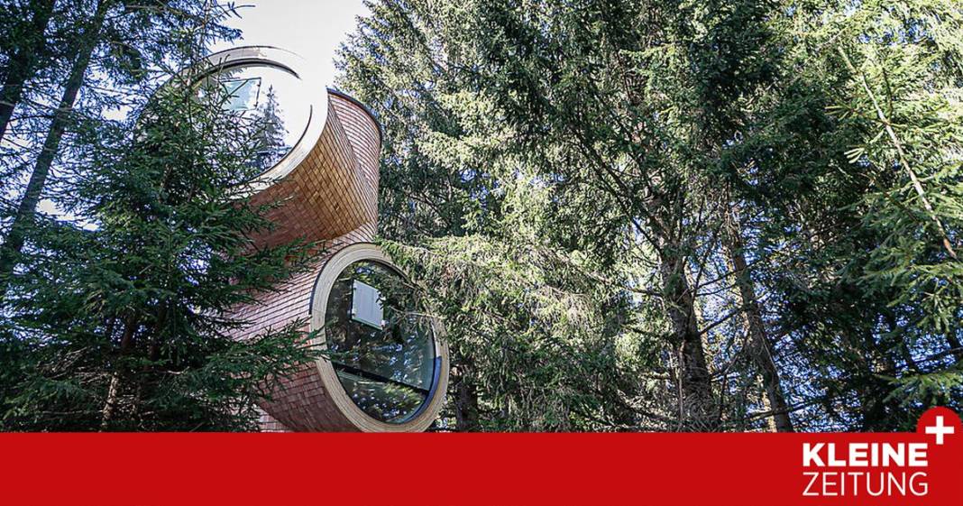 vier-baumhaeuser-fuer-das-steirereck-am-pogusch vier-baumhaeuser-fuer-das-steirereck-am-pogusch