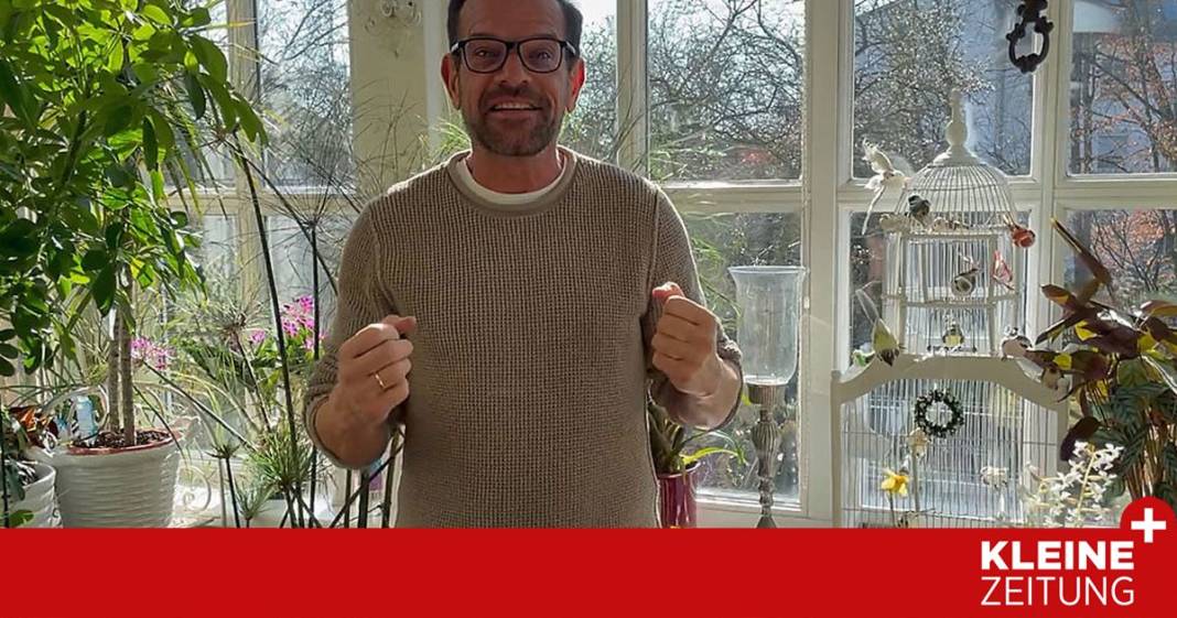 karl-ploberger-erklaert,-was-primeln-jetzt-brauchen