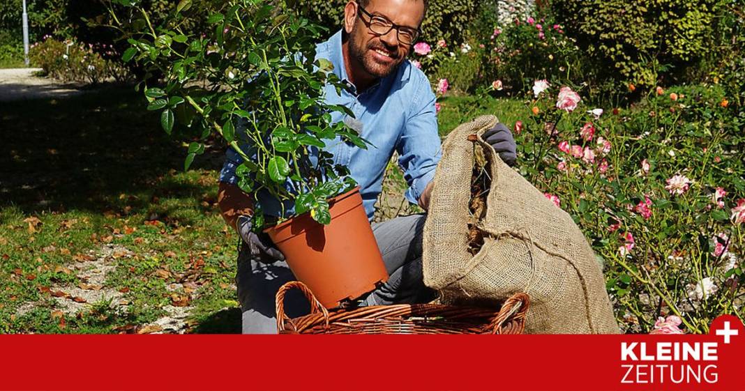 wie-schuetze-ich-meine-pflanzen-vor-dem-frost,-herr-ploberger?