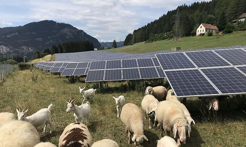 fuerstenhaus-liechtenstein-steigt-bei-kaerntner-pv-invest-ein fuerstenhaus-liechtenstein-steigt-bei-kaerntner-pv-invest-ein