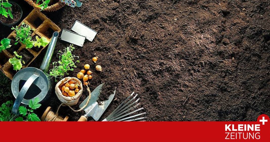 checkliste-fuer-den-start-ins-gartenjahr