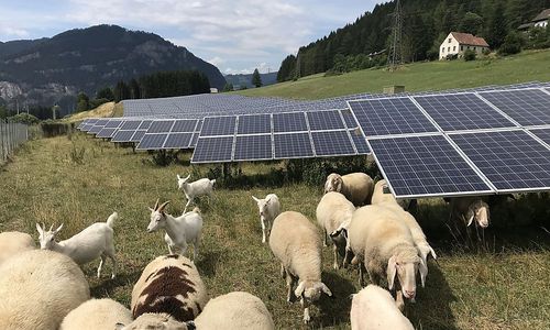 mit-liechtenstein-an-bord-will-pv-invest-expansion-beschleunigen mit-liechtenstein-an-bord-will-pv-invest-expansion-beschleunigen