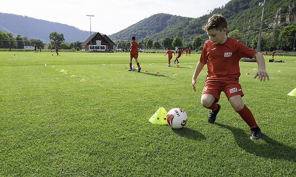 gak-juniors-sind-wieder-teil-des-gak gak-juniors-sind-wieder-teil-des-gak