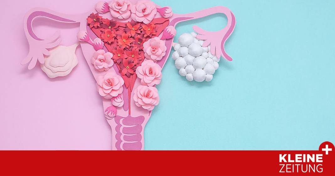 endometriose:-viel-mehr-als-nur-regelschmerzen endometriose:-viel-mehr-als-nur-regelschmerzen