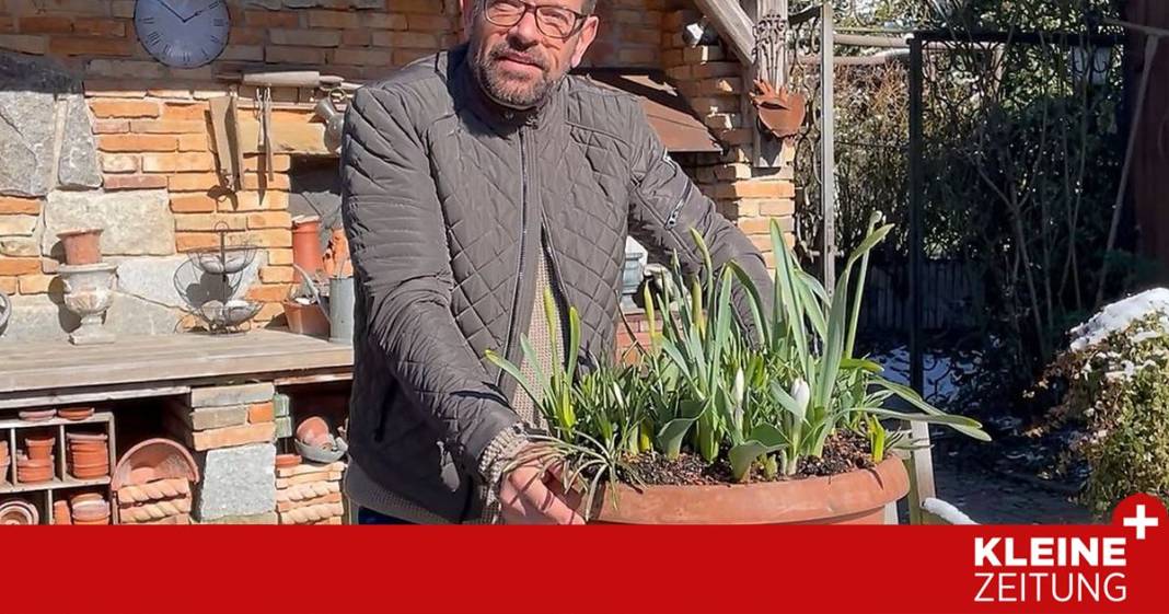 100-tage-fruehling-in-einem-topf 100-tage-fruehling-in-einem-topf