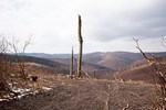 mit-muskelkater:-alle-wiener-stadtwanderwege-gehen mit-muskelkater:-alle-wiener-stadtwanderwege-gehen