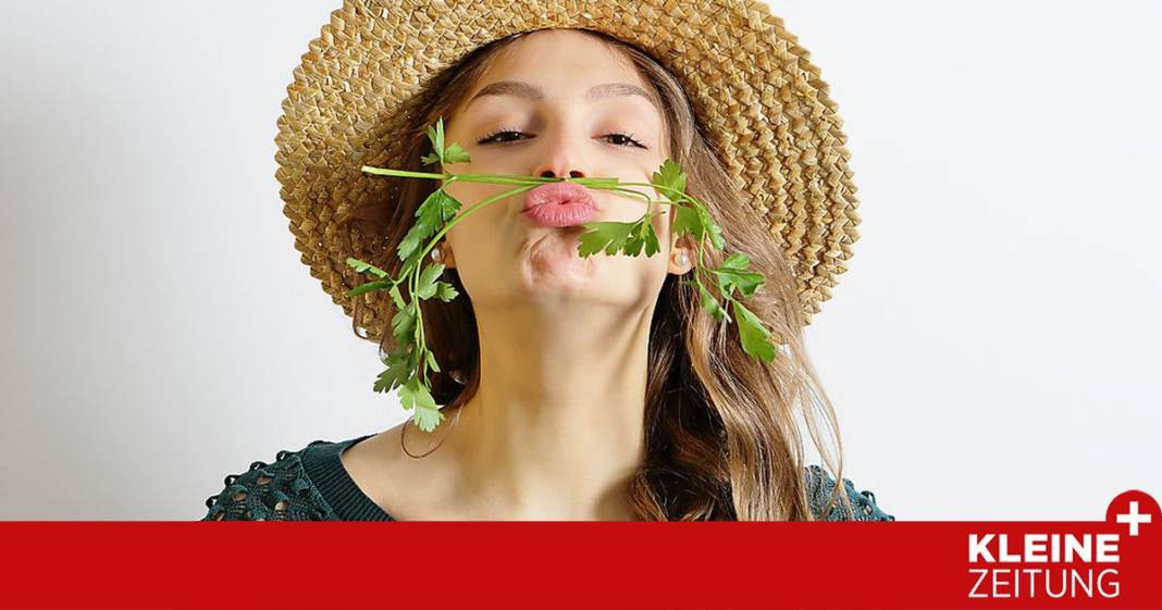 so-essen-wir-klimafreundlich so-essen-wir-klimafreundlich