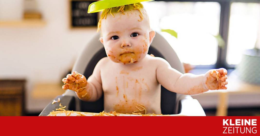 gutes-zeugnis-fuer-bio-vollkornspaghetti,-probleme-bei-konventionellen gutes-zeugnis-fuer-bio-vollkornspaghetti,-probleme-bei-konventionellen