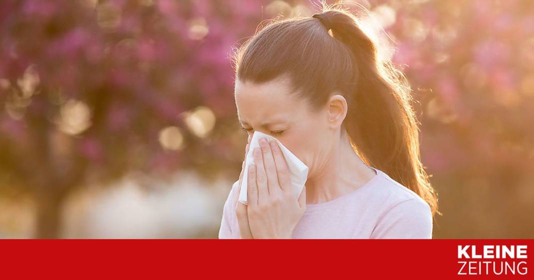 so-koennen-sie-ihre-lebensqualitaet-bei-einer-allergie-verbessern so-koennen-sie-ihre-lebensqualitaet-bei-einer-allergie-verbessern