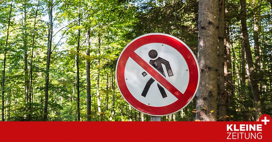 “zugang-verboten”:-darf-man-einen-bekannten-waldweg-ploetzlich-sperren? “zugang-verboten”:-darf-man-einen-bekannten-waldweg-ploetzlich-sperren?