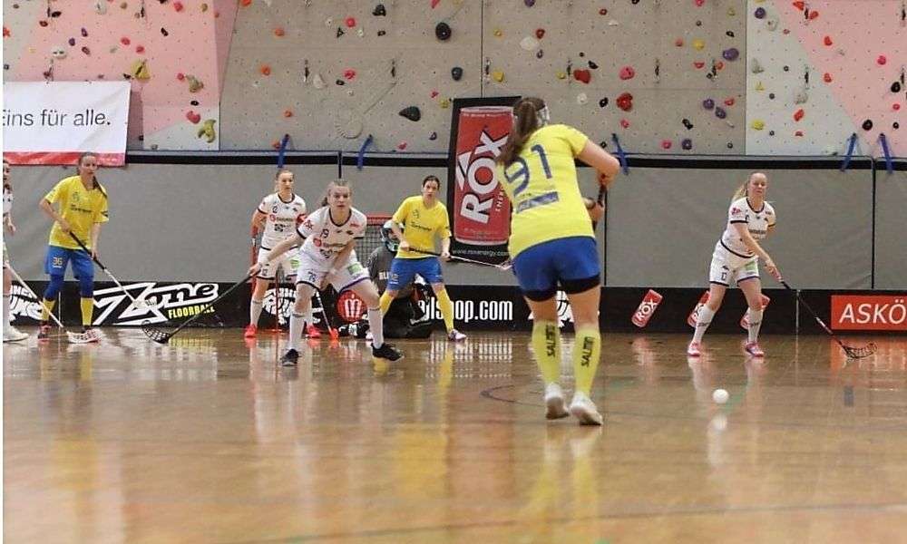 kaerntner-mannschaft-formiert-sich kaerntner-mannschaft-formiert-sich