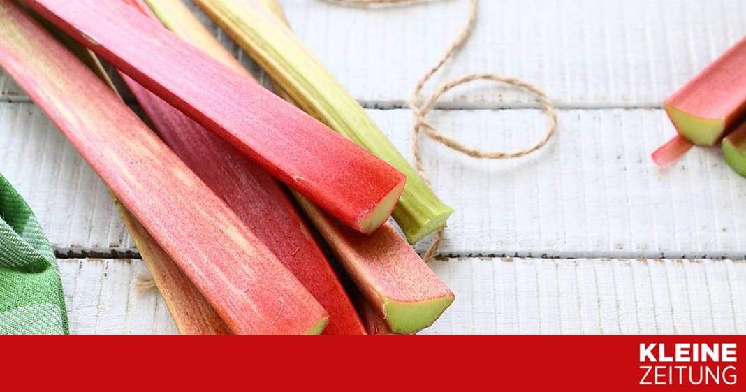 das-fruchtigste-gemuese-der-welt das-fruchtigste-gemuese-der-welt