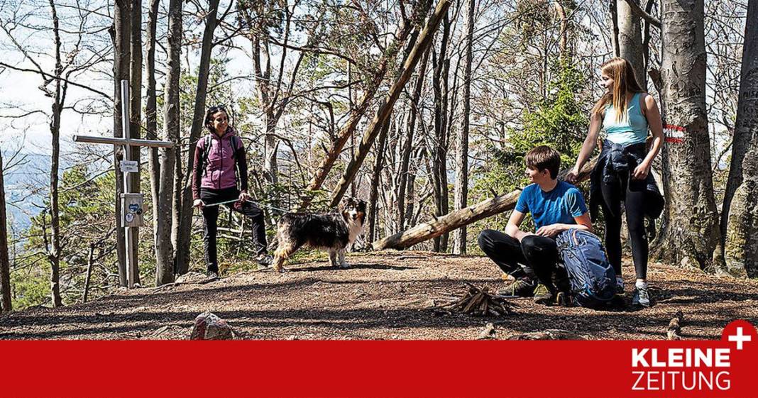 zur-geheimnisvollen-baerenhoehle-auf-dem-gamskogel