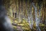 alpenverein-setzt-sich-fuer-legales-wegenetz-fuer-mountainbiker-ein alpenverein-setzt-sich-fuer-legales-wegenetz-fuer-mountainbiker-ein