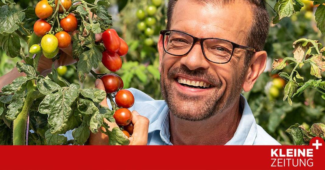 so-gedeihen-die-paradeiser