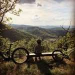 sabotageakt-auf-offizieller-mountainbike-strecke-in-der-wachau sabotageakt-auf-offizieller-mountainbike-strecke-in-der-wachau