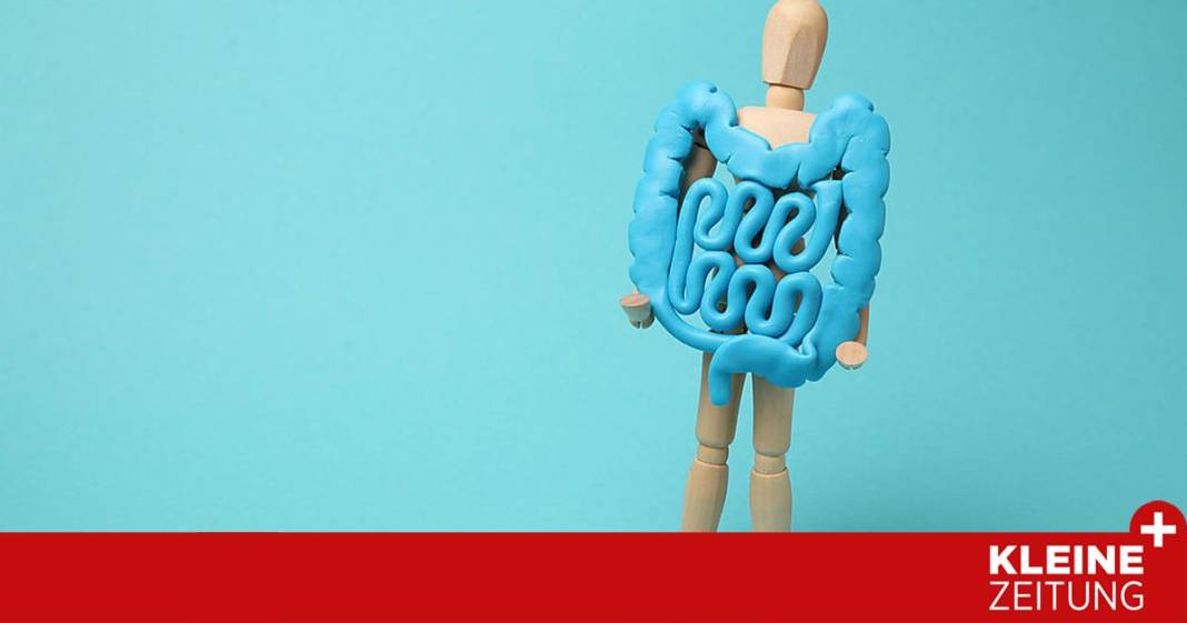 wie-man-einen-reizdarm-in-den-griff-bekommt
