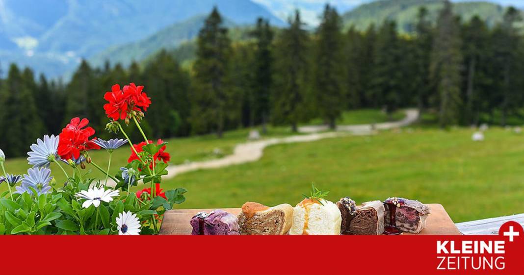 eine-kaffeefahrt-auf-die-koschuta eine-kaffeefahrt-auf-die-koschuta