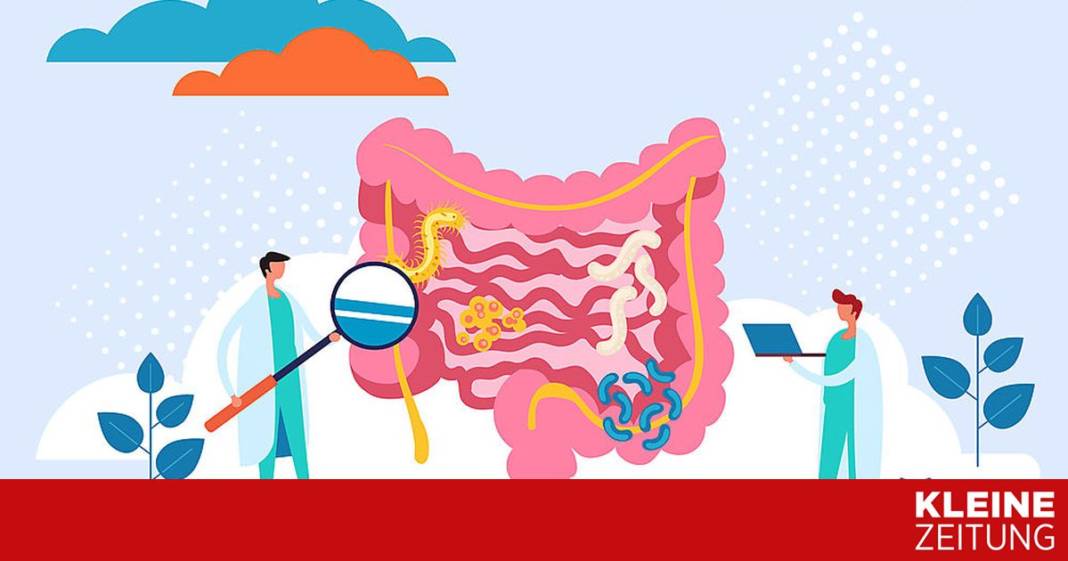 experten-beantworten-ihre-frage-zum-thema-darmgesundheit