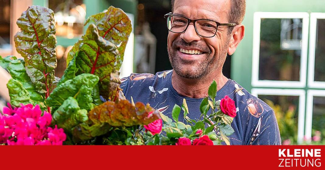 karl-ploberger-erklaert,-was-spaete-gartenjahre-fuer-gaertner-bedeuten