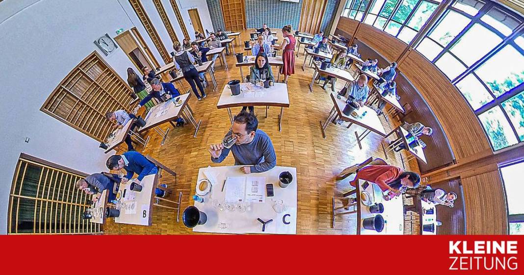 bei-der-vorkost-gelang-sieben-winzern-der-doppelschlag