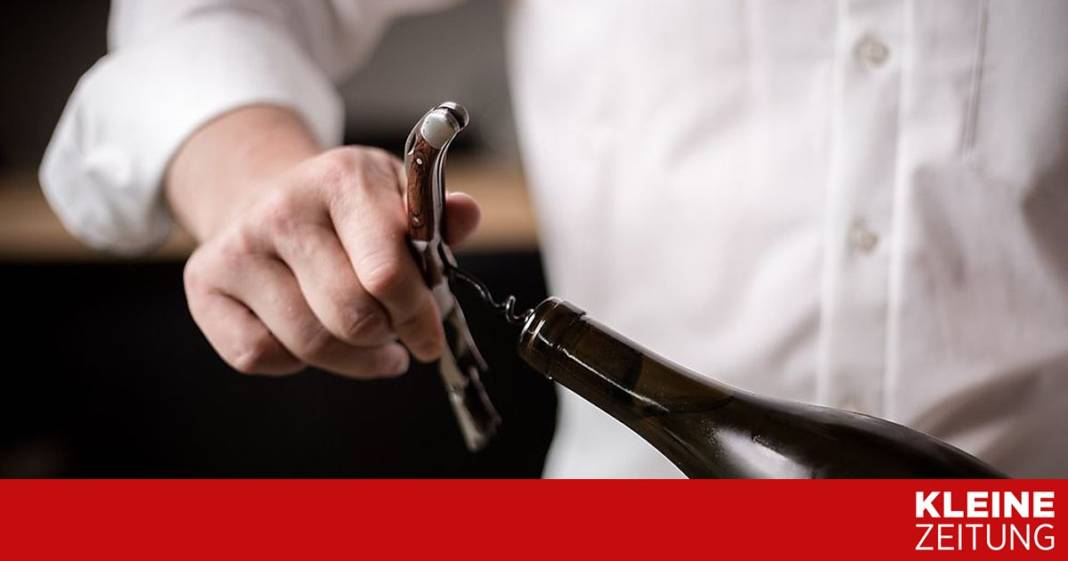 master-sommelier-alex-koblinger-ueber-den-cabernet-franc-&-merlot-2015
