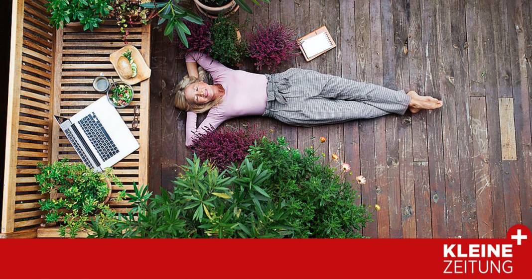 welcher-baum-eignet-sich-fuer-einen-terrassenkuebel?