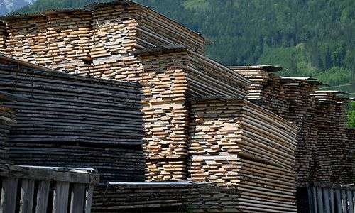“preissteigerungen-bei-holz-sind-im-forst-angekommen” “preissteigerungen-bei-holz-sind-im-forst-angekommen”