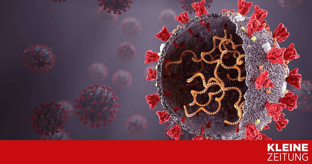 immunantwort-auch-bei-aelteren-lange-robust immunantwort-auch-bei-aelteren-lange-robust