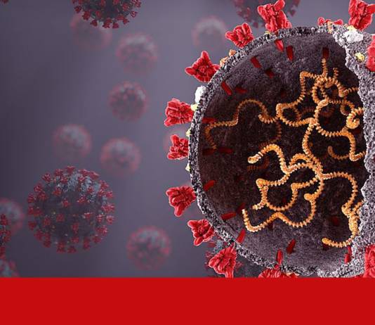 Immunantwort auch bei Älteren lange robust immunantwort-auch-bei-aelteren-lange-robust