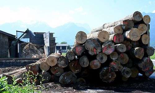holzpreise-explodieren,-aber-nicht-fuer-die-waldbauern holzpreise-explodieren,-aber-nicht-fuer-die-waldbauern