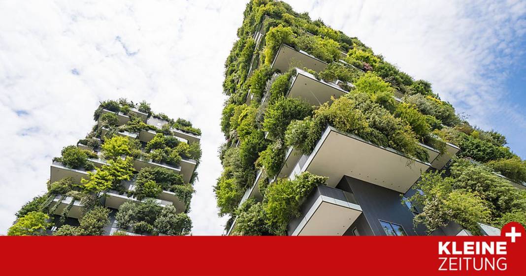 wie-gruene-daecher-unsere-staedte-kuehlen-koennten wie-gruene-daecher-unsere-staedte-kuehlen-koennten