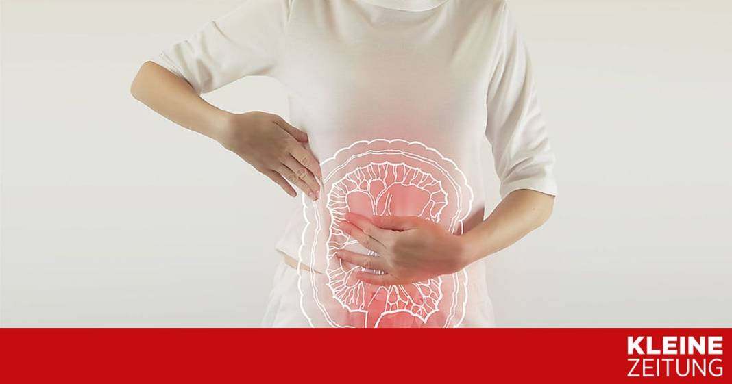 neue-erkenntnisse:-was-ein-reizdarmsyndrom-verursachen-kann neue-erkenntnisse:-was-ein-reizdarmsyndrom-verursachen-kann