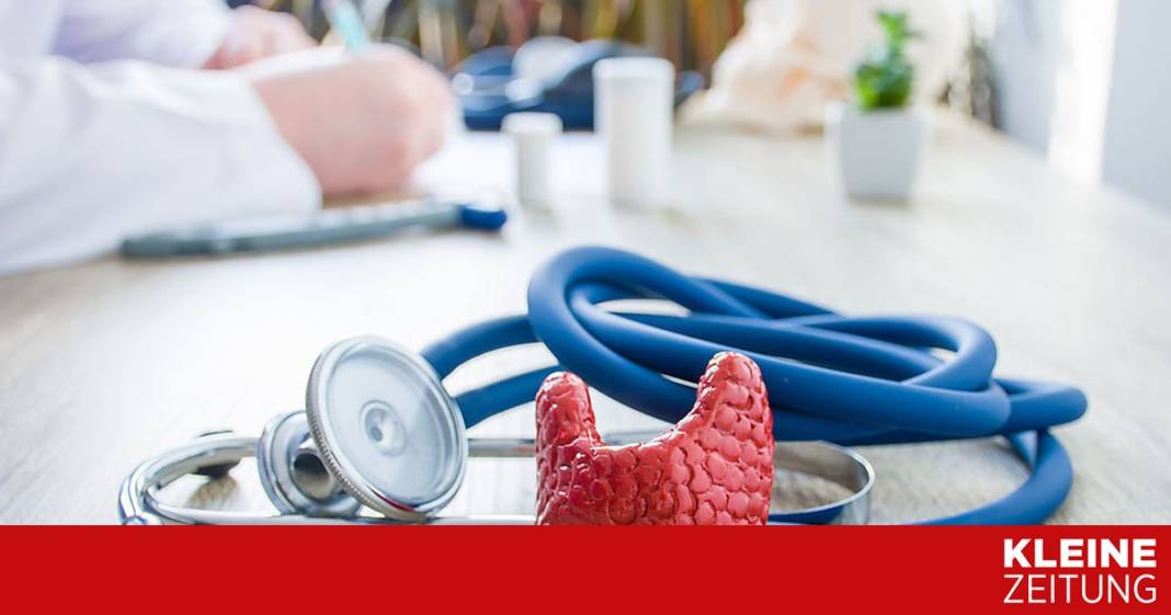 gesundheitstalk:-wie-die-schilddruese-gesund-bleibt gesundheitstalk:-wie-die-schilddruese-gesund-bleibt
