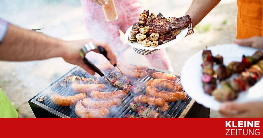 grillfleisch-im-test:-alle-proben-einwandfrei