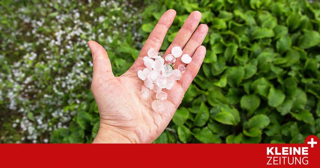herr-ploberger,-kann-ich-meine-pflanzen-nach-dem-hagel-noch-retten? herr-ploberger,-kann-ich-meine-pflanzen-nach-dem-hagel-noch-retten?