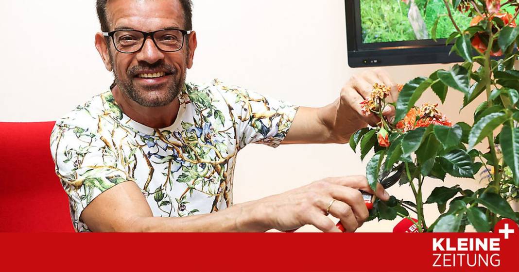 karl-ploberger:-“sie-haben-den-zitronenbaum-in-liebe-ertraenkt