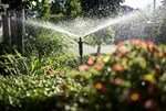 wie-helfen-sie-ihrem-garten-durch-einen-trockenen-sommer? wie-helfen-sie-ihrem-garten-durch-einen-trockenen-sommer?