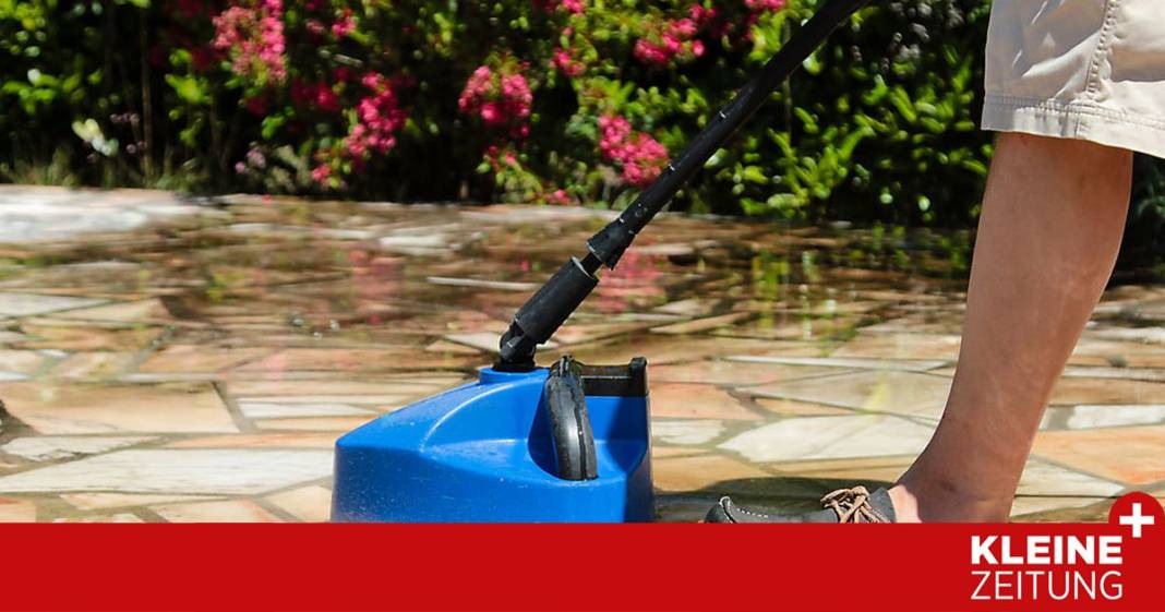 wenn-die-baeume-des-nachbarn-mist-machen:-so-koennen-sie-sich-wehren wenn-die-baeume-des-nachbarn-mist-machen:-so-koennen-sie-sich-wehren